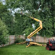 Best Palm Tree Trimming  in Stuart, VA